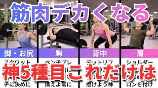 【フォーム解説付き保存版】初心者必見！1か月で覚えるべき神種目5選【筋肉がデカくなる７日間シリーズ５日目】【筋トレ雑学】【2026年版】