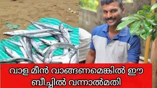 വാള മീൻ ലാഭത്തിൽ കിട്ടും 
