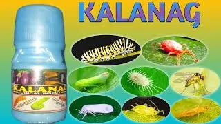 Kalanag biological insecticide uses eka dose or price kya hai 