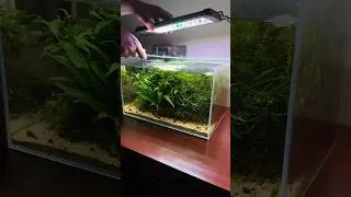 Cleaning my nano planted aquarium