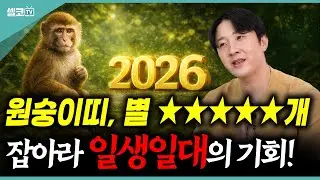 (댓글이벤트)🐒26년 원숭이띠, 별이 다섯 개! 일생일대의 기회! 금전운·애정운 모두 터졌다!ㅣ돈과 인연이 동시에 들어오는 최고의 해! (한울도령)