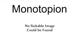 Monotopion