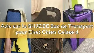 Avis sur la SHJOEE Sac de Transport pour Chat Chien Caisse de Transport Chat Respirant et Pliable Ca