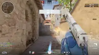 Cs2Wingman