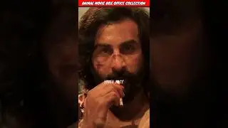Animal Movie 1st Day Collection ।। #animal #animalmovie #viral #shorts