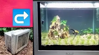 Convert Television into fish tank