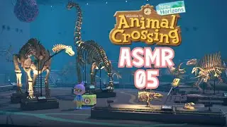 🌺 Animal Crossing New Horizons ASMR │Museum Tour & Stamp Rally Event🦉