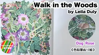 ✏️ぬり絵【Walk in the Woods by Leila Duly 】Dog Rose イヌバラ