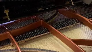 Новые музыкальные инструменты для новых творческих побед