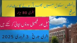 Danish School Jobs 2025.join Danish school. Danish school latest Jobs. Danish school new jobs