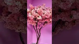 #Diy Cherry Blossom 🌸 for my new creator hub! Any Los Angeles creators around? #lifestyle #creator