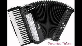 FORMATIA DANUBIUS TULCEA GEAMPARAUA ACORDEON
