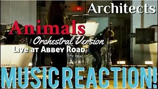 FREAKING AWESOME!!🔥Architects - Animals(Orchestral Version) Live at Abbey Road Music Reaction🔥