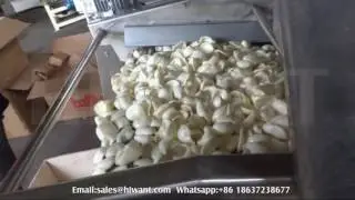 Cheap Commercial Multi Function Deep Fryer Machine   Ideal For Business Starter