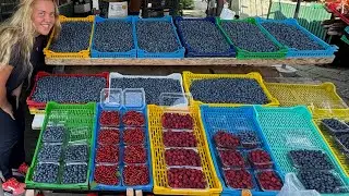 Where To Find The World&rsquo;s Best Blueberries! Čačak Serbia Vlog! 