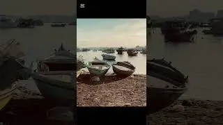 اسكندريه يا بلاش