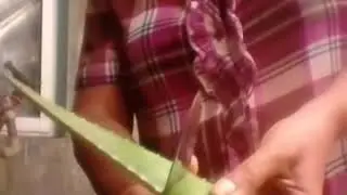 Como sacar el amargo de la s&aacute;bila (aloe vera)