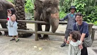 Our Visit At The Zoo In Bali