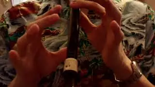 Concerning Hobbits flute cover