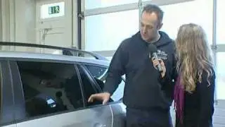 Dent Wizard - SMART Repair.flv
