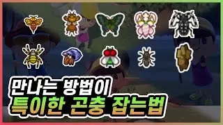 [모여봐요 동물의 숲] 특이한 조건의 곤충 잡는 방법! 제비나비, 도롱이벌레부터 파리, 거미까지!