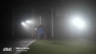 Walk on Hands - Agility Drills