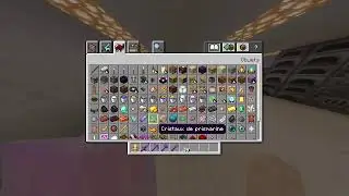 FR/PS5/Minecraft/