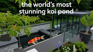 Stunning koi pond and easy maintenance filters