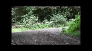 Cork Forest Rally 2013