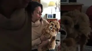 Tilly&rsquo;s favourite song 🐶🧸❤️