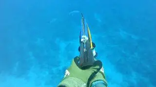 The Craziest Current I've Ever Spearfished (Florida Keys Summer 2025 Part 2)