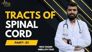 Tracts of Spinal Cord ( Part -1)   | Pyramidal Tracts | Niaz Hasan | Pulse Syndicate