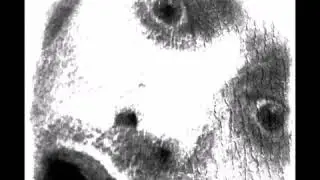 Marc Freak - Around
