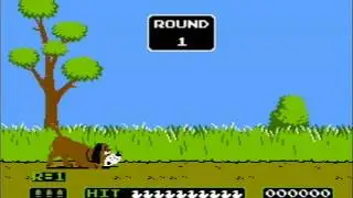 Stare Gry - NES(pegasus) - Duck Hunt