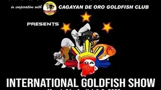 1st International Goldfish Show @ Cagayan de Oro City