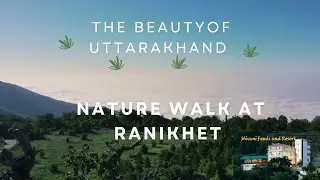 Paradise Walk: Crisp Himalayan Air, Shivani Resort Bliss & Neev Karori Darshan | Pangot, Uttarakhand