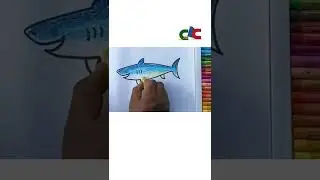 #shark #painting #drowing 🐋🐋🐋#easy