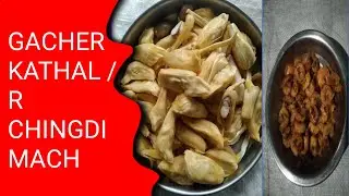 GACHER KATHAL/R CHINGDI MACH👌👌PORI MANDAL VLOG CHANNEL &Ccedil;&Ccedil;