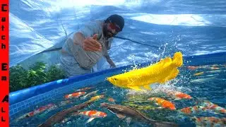 We BUILT a FISH GREENHOUSE for My PETS to SURVIVE the WINTER FREEZE! **It Worked**