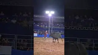 Juliano reys #rodeio #pecuarista #cowboys #playvaquejada #brutododia #sertanejo #fazenda #gado