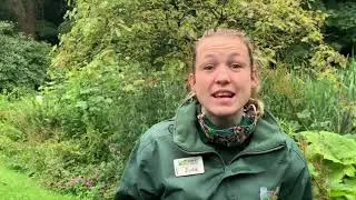 Dudley Zoological Gardens welcomes visitors again!