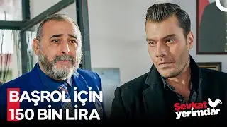 Bir Gün Yumurtacı Bir Gün Film Yıldızı - Şevkat Yerimdar