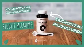 BioBizz Microbes - Trichoderma Pilzkulturen f&uuml;r deinen Grow
