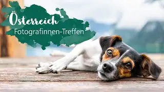 Österreich 🇦🇹 | Hundefotografen Anne Geier, Marina Reiter, Jasmin Hummer | Bulli Foto-Tour im Süden