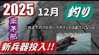 【釣り】【魔改造ブラー】シブい状況が続いている南茅部の漁港で新たな展開が待っていました。