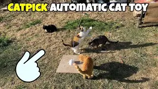 Автоматическая игрушка-палочка CATPICK, вызывающая сильное привыкание 🐈 Gadgetify