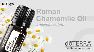 doTERRA Roman Chamomile Essential Oil-DEOWA Academy