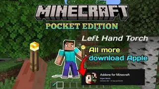 Minecraft LEFT Hand Torch Holding Trick?