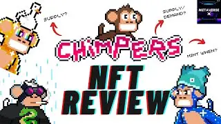 Chimpers NFT | Another Ape NFT?