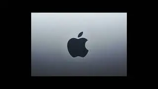 iPhone Sales Flat: Is Apple's (AAPL) Growth Hitting a Wall?
